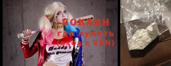 сатива Волосово