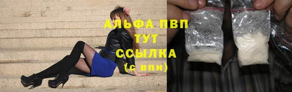 ГАЛЛЮЦИНОГЕННЫЕ ГРИБЫ Горно-Алтайск