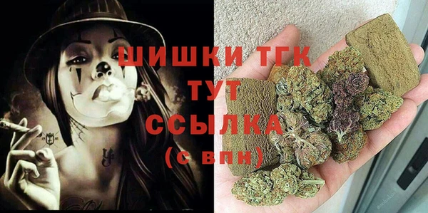 2c-b Горнозаводск