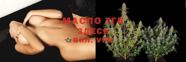 ГАЛЛЮЦИНОГЕННЫЕ ГРИБЫ Горно-Алтайск