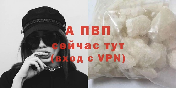 ГАЛЛЮЦИНОГЕННЫЕ ГРИБЫ Горняк