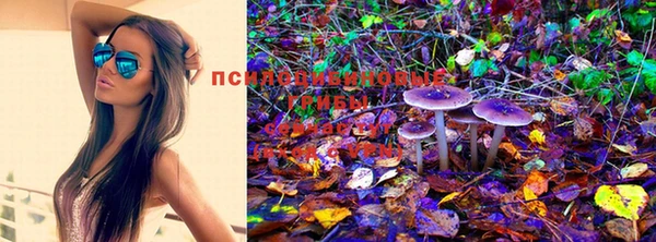 ГАЛЛЮЦИНОГЕННЫЕ ГРИБЫ Горняк
