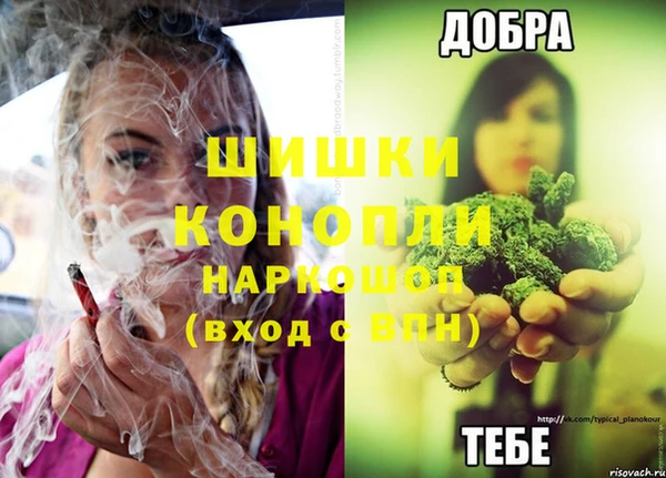 2c-b Горнозаводск