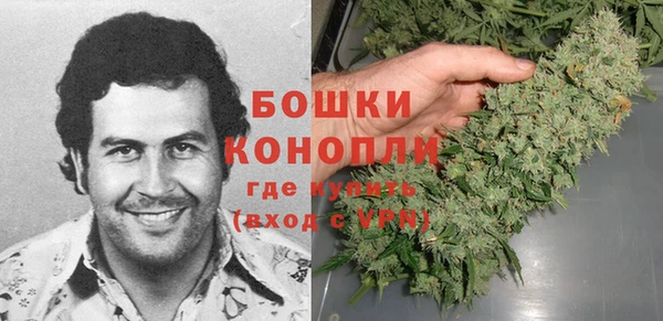 ГАЛЛЮЦИНОГЕННЫЕ ГРИБЫ Горняк