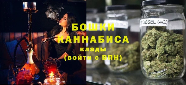 2c-b Горнозаводск