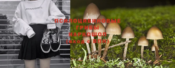 ГАЛЛЮЦИНОГЕННЫЕ ГРИБЫ Горняк
