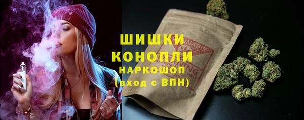 2c-b Горнозаводск