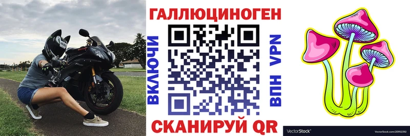 KRAKEN ONION  Заозёрск  Псилоцибиновые грибы мухоморы 